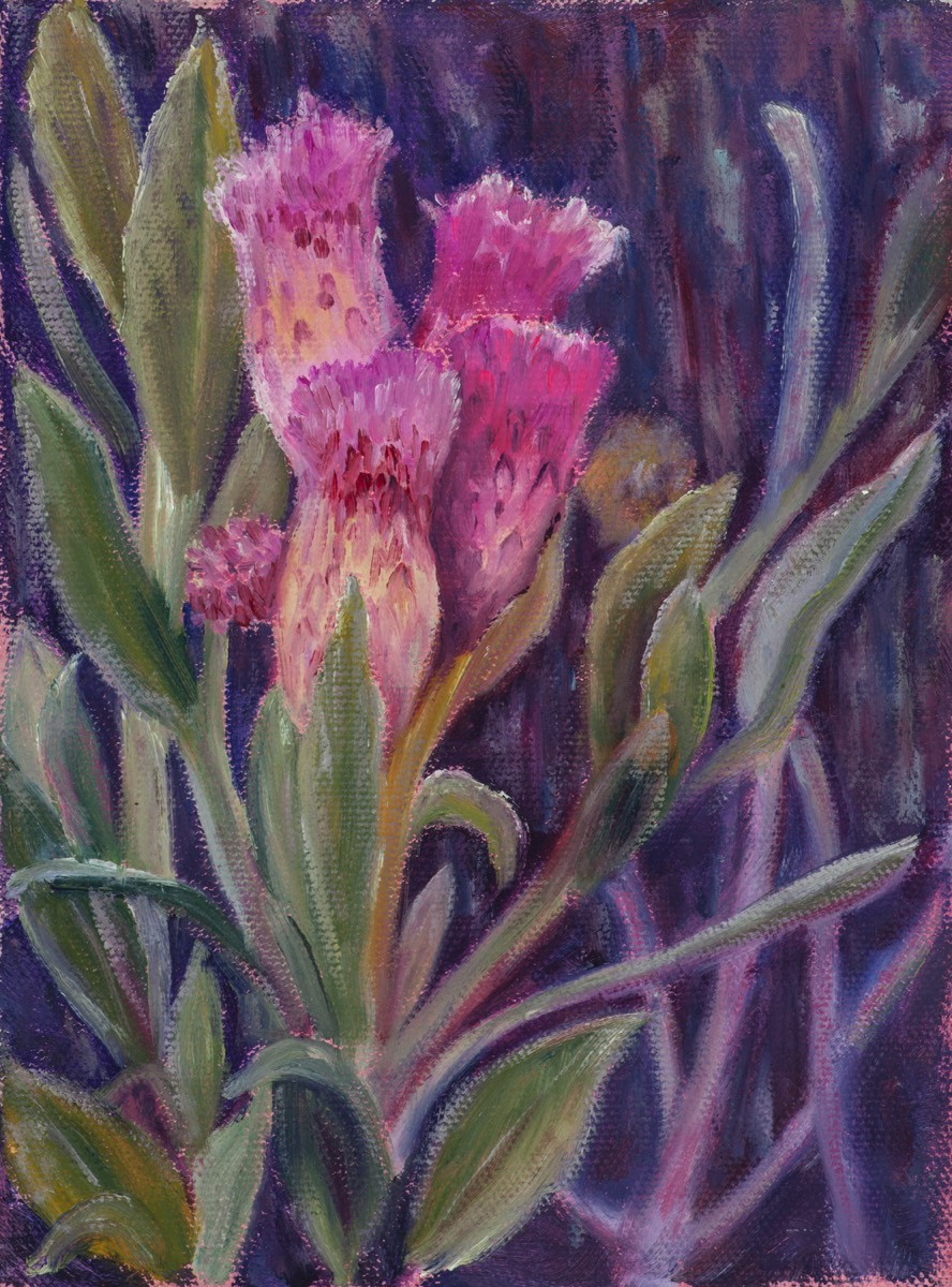 Stacks Image 71