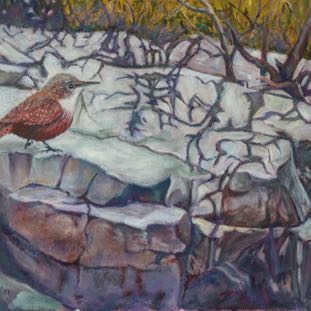 CANYON WREN 14x18.jpg