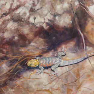 EASTERN COLLARED LIZARD 11x14.jpg