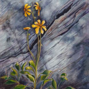 Hidden Crevass 18x14.jpg