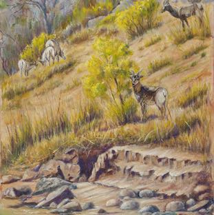 Rivers Edge 18x14.jpg